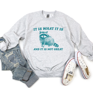 It Is What It Is Racoon Tee OR Sweatshirt